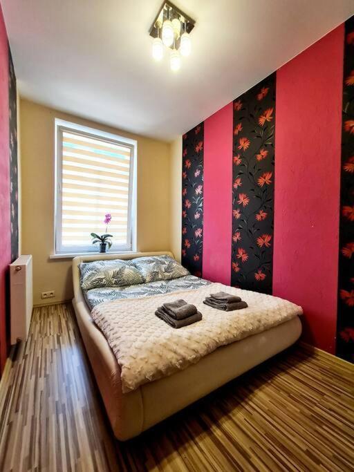 Mikolajki Apartament Miedzy Mostami Eksteriør billede